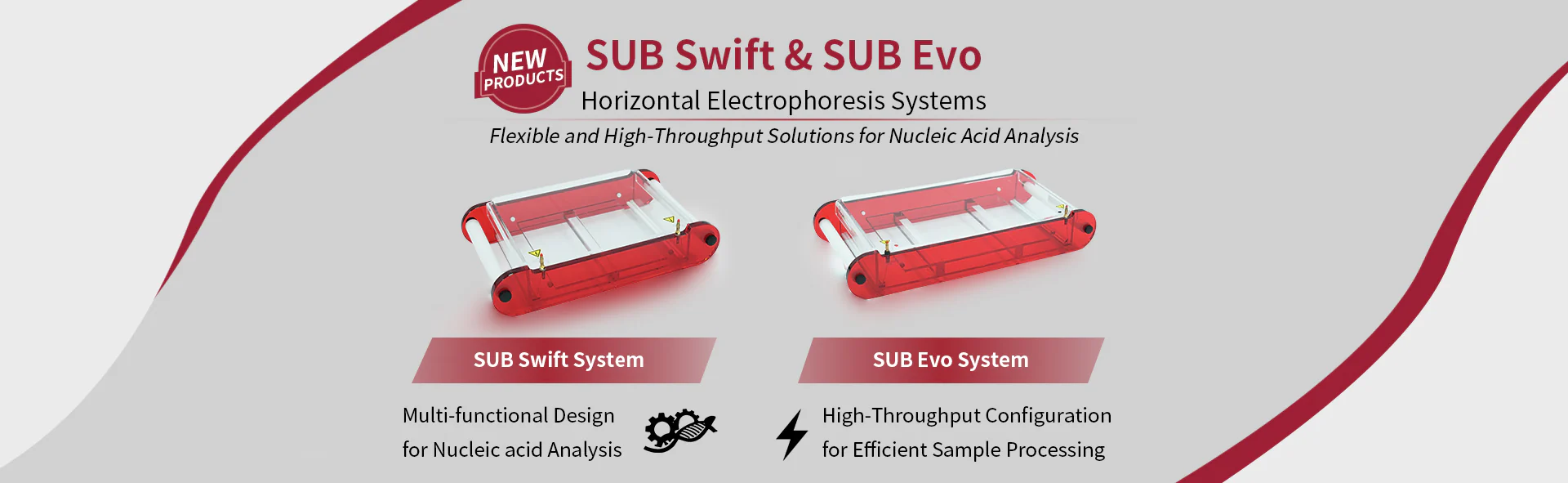 Electrophoresis and electro-transfers