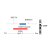 P16 gene deletion detection probe (P16 (CDK2NA)/CEP9)