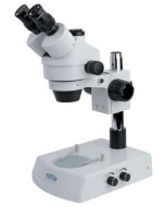 Microscopes stéréoscopiques Kruess MSZ5000-Series (MSZ5000-IL)