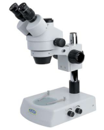 Microscopes stéréoscopiques Kruess MSZ5000-Series (MSZ5000-T)
