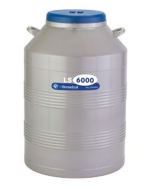 Nitrogen tank - Cryogenic Vials Storage - LS6000 (165L;6000 vials)