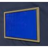 UV/BLUE conversion screen (Vilber Lourmat )
