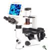MBI LCD Screen Inverted Fluorescent Biological Microscope
