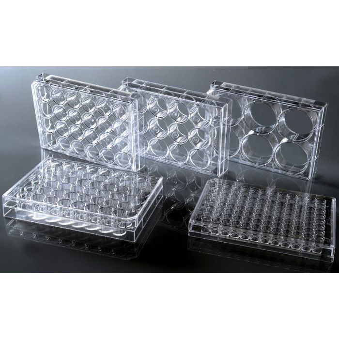 montreal-biotech-48-well-cell-culture-plate-flat-bottom-tissue