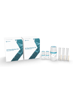 ExTransfection™ Kit (10 μL) (96 x 2 reactions)