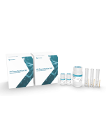 ExTransfection™ Kit (100 μL) (25 x 2 reactions)