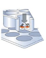 MATra-S Immobilizer, 1 m (for up to 35 million cells)