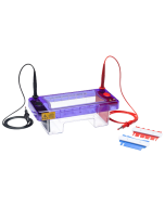 Multi Sub Mini, 7x7cm UVTray, 2x8 sample 1mm thick comb