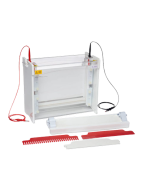 Vertical Electrophoresis Maxi Plus (30x22cm) Dual, 2 sets of Glass Plates