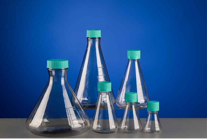 Erlenmeyer Flask