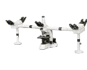 Multi Head Microscopes