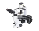 Fluorescent Microscopes