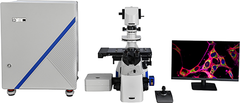 Confocal Microscopes