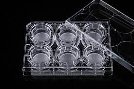 PC Membrane