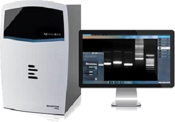 Gel Documentation & Chemiluminescence & Fluorescence