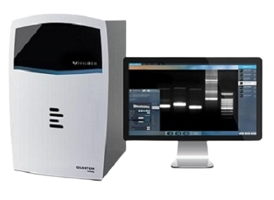 Gel Documentation Systems